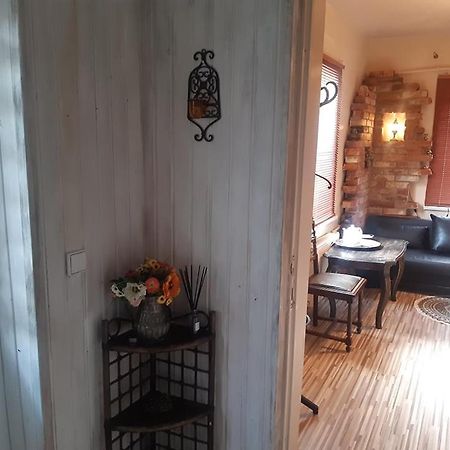 Pas Ligita Apartment Birzai Bagian luar foto