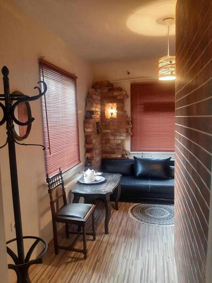 Pas Ligita Apartment Birzai Bagian luar foto